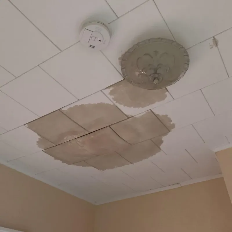 Ceiling Water Damage Repair in Watertown, MA